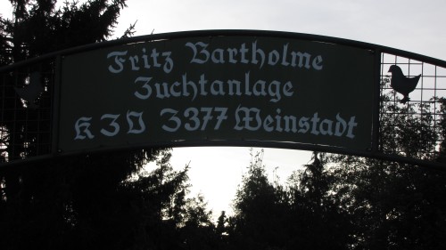 Vereinsheim Weinstadt