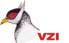 Banner VZI