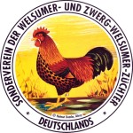 Banner Sonderverein Welsumer